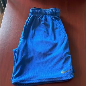 Nike Dri-FIT Blue Shorts